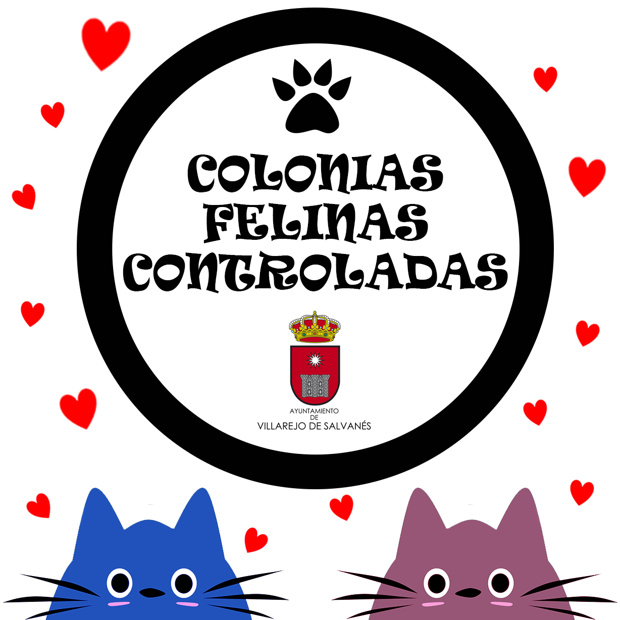COLONIAS FELINAS sq