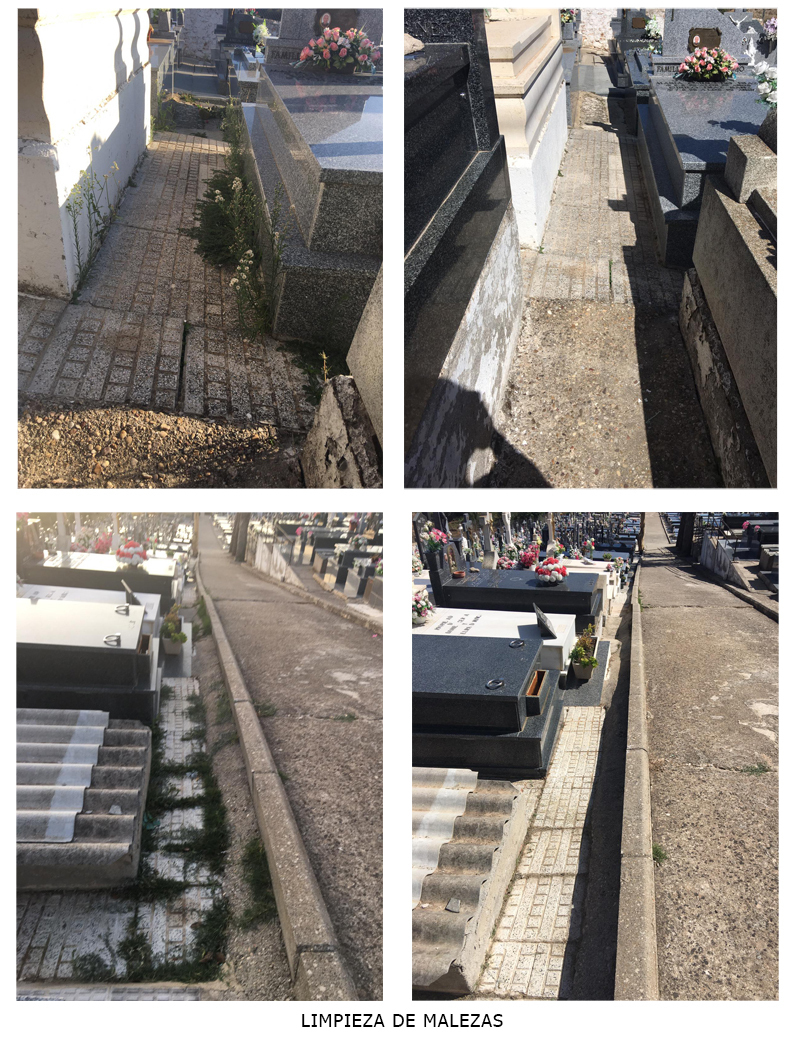 cementerio5.jpg